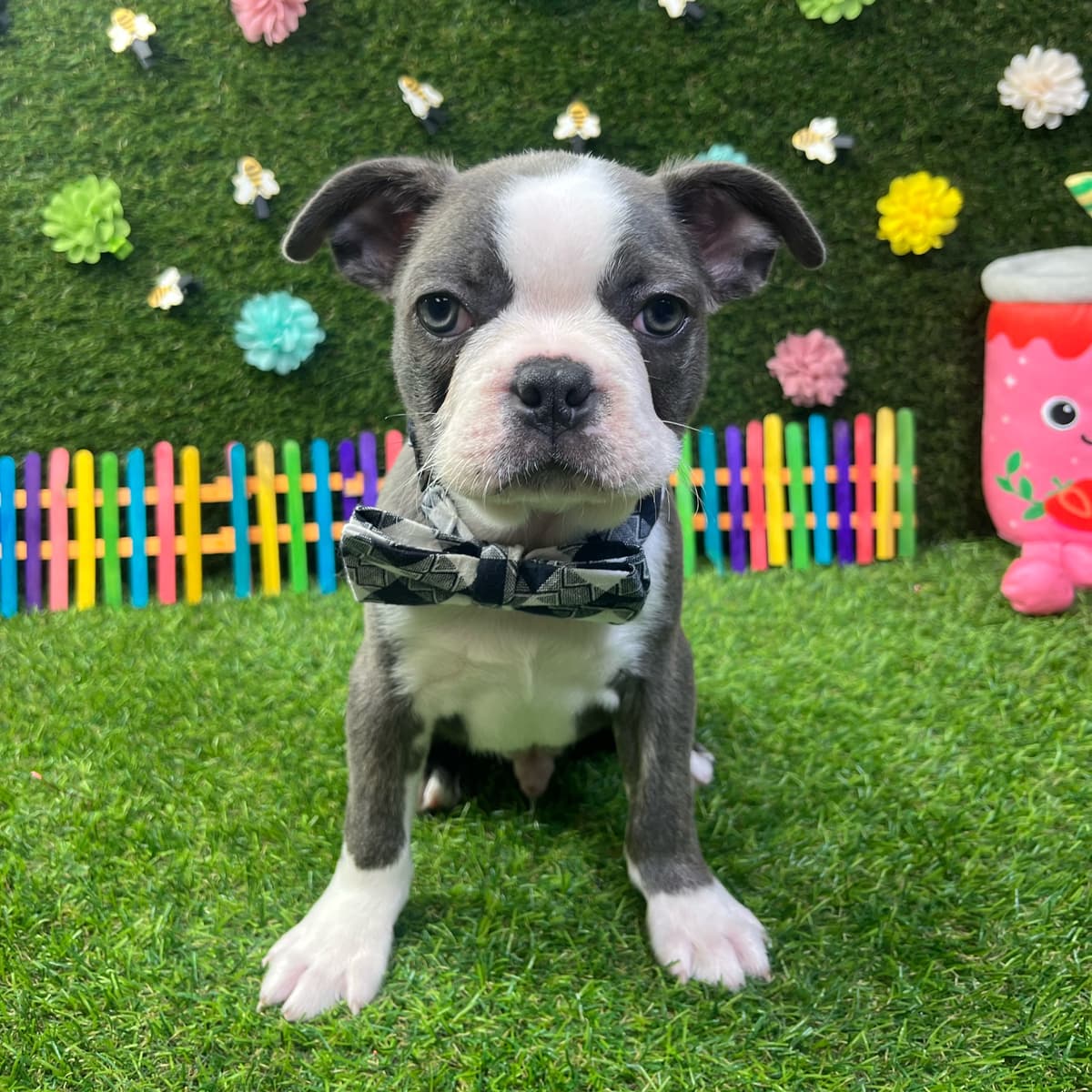 Buster