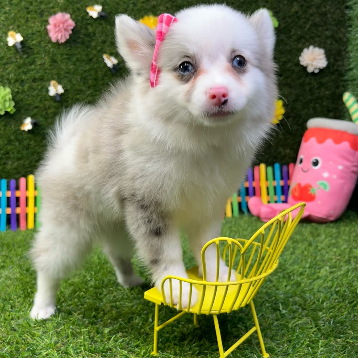Pinky