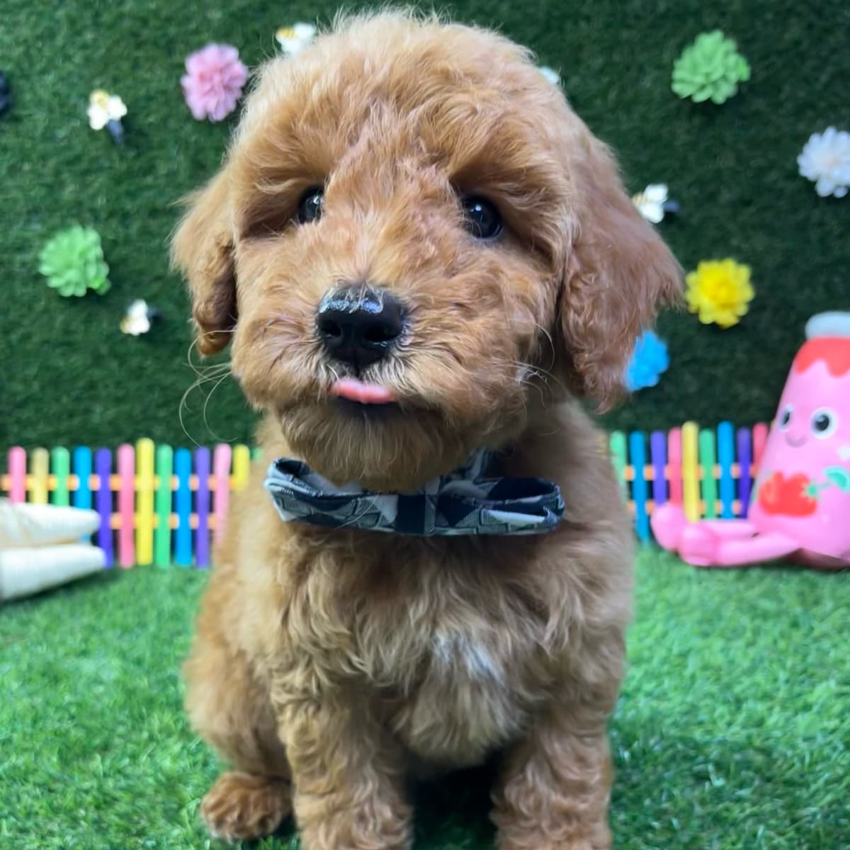 Charlie